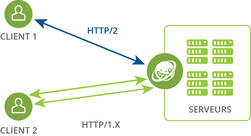 HTTP2 Mutiple sockets ryle software